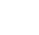 Logo white